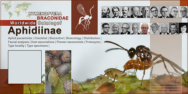 Worldwide catalog of Aphidiinae (Hymenoptera, Braconidae): distribution, host associations and notes on their bioecology 